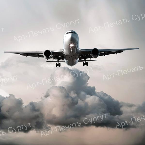 transport