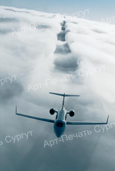 transport
